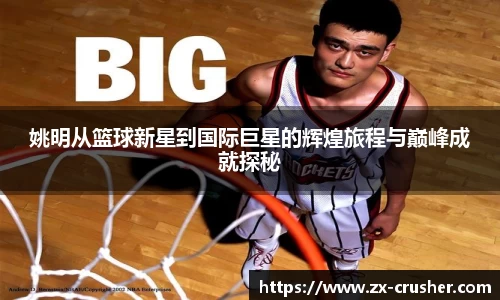 emc易倍体育官方